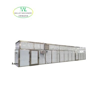 China Large Scale and High Quality Production Capacity Tray Automatic Production Industrial Type of Hot Air Tunnel Dryer for Fruit Drying for sale