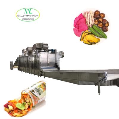 China Fruit Vegetable Drying China Multi Layer Mesh Belt Dryer Conveyor Belt Dehydrating Equipment For Onion And Other Foods for sale