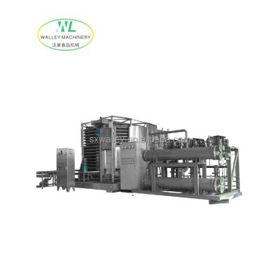 China High Quality Industrial Quick Instant Frozen Food Machine Person And Spiral Freezer Trays Type For Food for sale