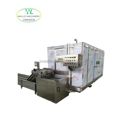 China Factory Price Frozen Food Machine Plate Type Tunnel Freezer For Food for sale