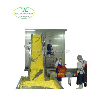 China High Quality Industrial Quick Instant Frozen Food Machine Individual Fluidized Freezer For Food for sale