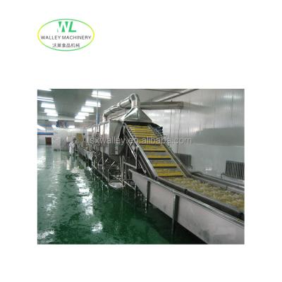 China Labor Saving Factory Price Freeze Drying Production Line For Food Processing Line for sale