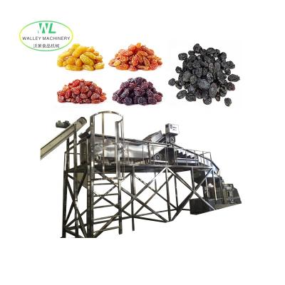 China China Prune Apricot Raisin Spray Piping Air Dried Plum Processing Line Apricot Fruit Drying Processing Machine Raisin Polishing Processing Line for sale