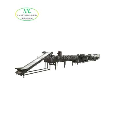 China High quality industrial line vegetable and fruit processing line of garlic carrot onion coriander sprinkling high efficiency use vegetable and fruit processing line for sale