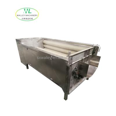 China High quality industrial washing and peeling machine easy operation use brush rollers type for carrot potato peeler for sale for sale