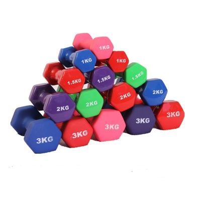 China Cheap, environmental friendly and durable high quality fitness equipment dumbbell set for sale