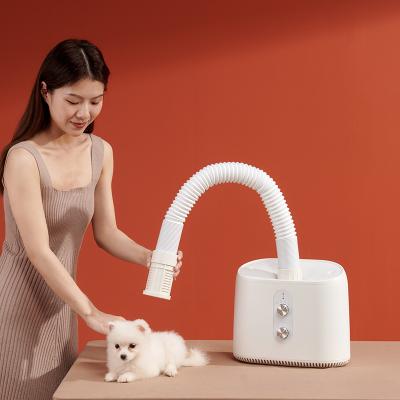 China Multifunctional Hotel Portable Mini Take Off Pet Grooming Hair Dryer Electric Home Handheld Hair Dryer for sale