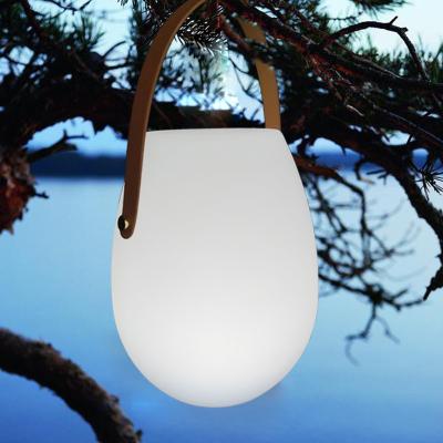 China Color Durable Portable Outdoor Waterproof Decorative Light Lanyard LED Night Fill Camping Light for sale