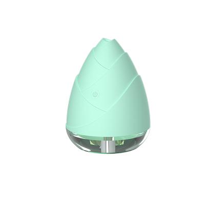 China 2021 Cute Mini USB Radio Humidifier Ultrasonic Cool Mist Bamboo Push Air Humidifier For Home for sale