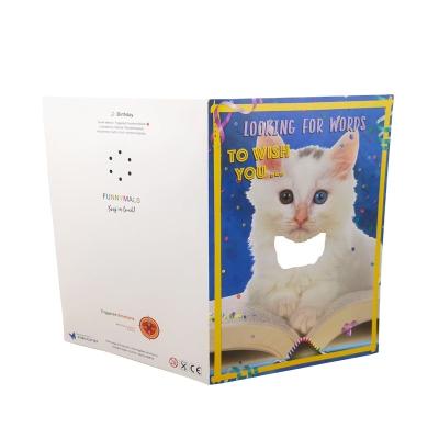 China China Happy Birthday Musical Greeting Card With Customize Package Music Sound Card for sale