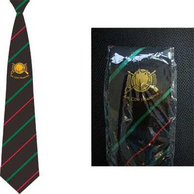 China Polyester OEM Woven Polyester Ties , Customized Embroidered Polyester Ties for sale