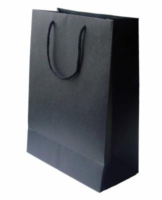 China Biodegradable Batch Hot Sales In Guangdong China Production Shopping Portable Paper Bags for sale