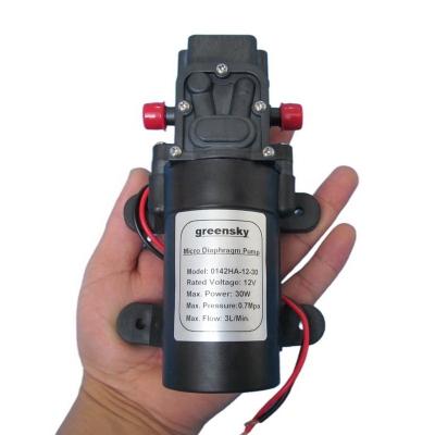 China Factory Grimmsky Automotive Industry Type 3L/Min 12V DC 30W Self-priming Electric Diaphragm Straight Sale Return Valve Pump for sale