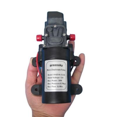 China Factory Directly Sale 3L/Min DC 12V Self-priming DC 30W Mini Water Pump Grimmsky Automotive Industry for sale