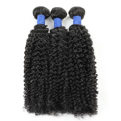 China Brazilian Curly Human Virgin Indian Hair Hair Product Wigs Curl Hair Bundle For Black Mommy for sale