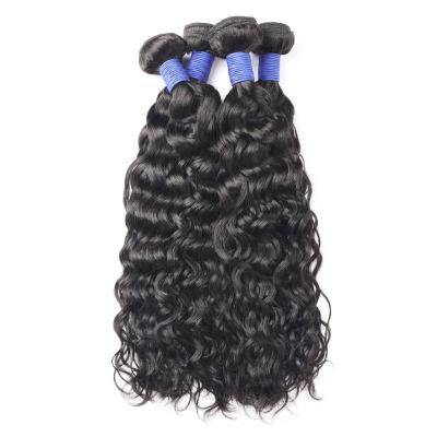 China Burmese Raw Water Wave Hair Water Wave Hair Cuticle Aligned Virgin Hair Wigs for sale