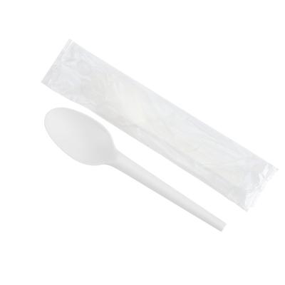 China Disposable Suyuan OK PLA Compostable Hot Selling Spoon Compostable Biodegradable Spoon for sale