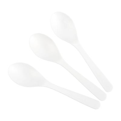 China 2021 Suyuan BPI Disposable PLA Cutlery Disposable Cutlery Spoon Coffee Tea Coffee Spoon for sale