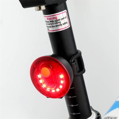 China New Products Fashionable Night Decoration Bicycle Protective Device Accessories Mountain Bike Rear Light USB Charging Ride Bike Warning Light for sale