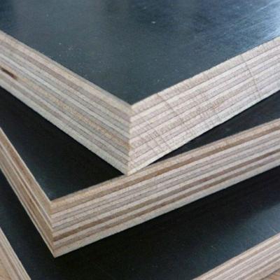 China Birch Plywood Wood Plywood 18mm Good Quality 25mm Modern Formwork Plywood For Construction for sale