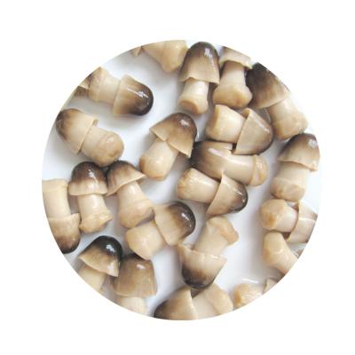 China Straw Mushroom In Plastic Drum raw pickled unpeeled whole high quality SM002 for sale