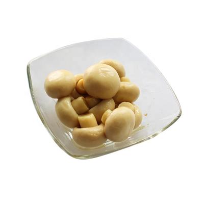 China Fresh open can eat brined whole champignon mushroom for sale