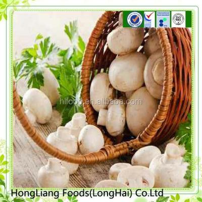 China Fresh Canned Fresh White Mushroom For Supermarket for sale