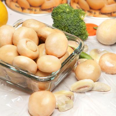 China Large Fresh Supply Champignon Champignon White Whole Canned Mushroom for sale