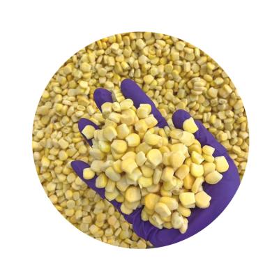 China China FROZEN Frozen Food Supplier Wholesale Iqf Corn Kernel for sale