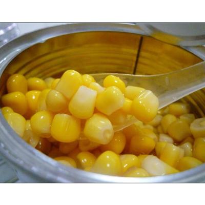 China China Canned Export Most Popular Canned Corn Ingredients for sale