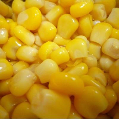 China Xiamen Preferential Canned Vegetable Food Canned Golden Corn Canned for sale