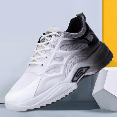 China Cushioning Spring Mesh Breathable Casual Sneakers School Shoes Low Top Dad Shoes Lightweight For Men for sale