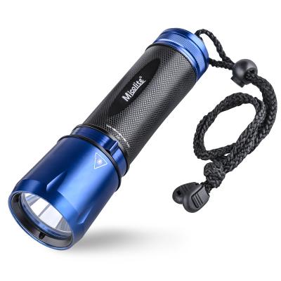 China IP68 Industrial LED Glow Flashlights USB Rechargeable Flashlight Outdoor Mount Tactical Professional Diving Flashlight for sale