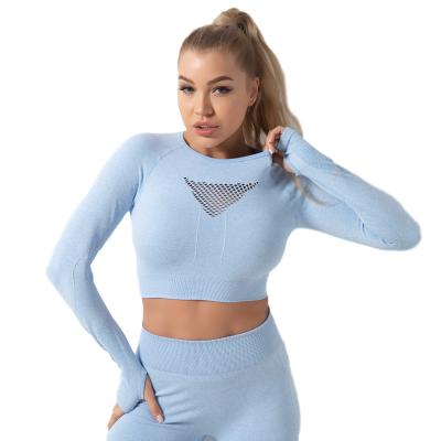 China Factory Made Women Breathable Yoga Top In Fitness And Yoga Use Backless Halterneck Knitted Seamless Tight Long Sleeve Yoga Top for sale