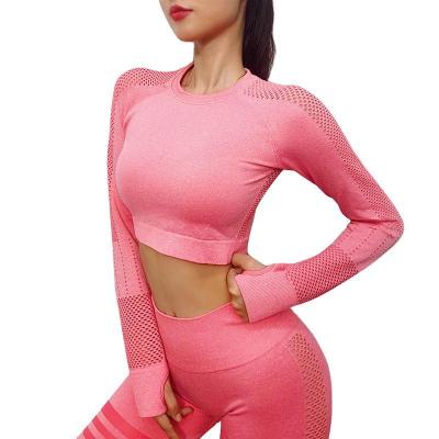 China Breathable Yoga Tops Hot Selling Quick Dry Running Fitness Long Sleeve T-shirt Yoga Tops for sale