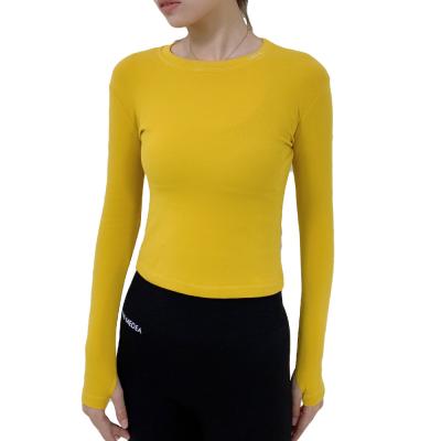 China Breathable Wholesale Yoga Quick Tops Tight Hygroscopic Long Sleeve Yoga Drying Tops For Women for sale