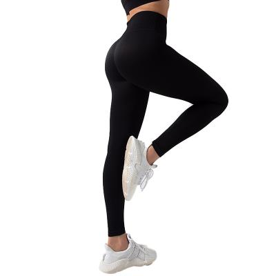 China Best Quality Women Breathable Yoga Gaiters Seamless Quick Dry Knitted Fitness Pants Yoga Gaiters for sale