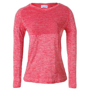 China Winter Sports T-shirt Long Sleeve Slim Fit Breathable Yoga Workout Fitness Yoga Clothes Elastic Quick Dry Clothes For Women for sale