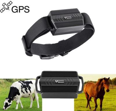 China TKSTAR Latest TK935 Automotive GPS Tracker For Animal Tracking With Collar Gps Para Para mascotas localizar extraviadas for sale