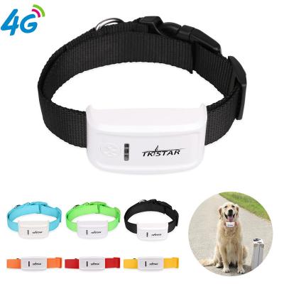 China Newest 4G GPS Real Time Tracking Tracker TK909 With Pet Collar TKSTAR Dog Tracking Device Anti Lost Gps for sale