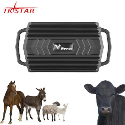 China TKSTAR Locator tk935 Automotive Animal Gps Tracking Device Portable Animal Gps Horse Tracker for sale