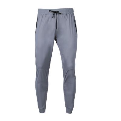 China 2021 Wholesale Hot Sale Anti-Wrinkle Ice Silk Casual Stretch Breathable Running Pants Fitness Pants Mens Cargo Joggers Sports Pants for sale