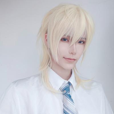 China Daily Use Multiple Styles Cosplay Straight Synthetic High Temperature Wire Long Wig Men's Natural Hair Wig for sale