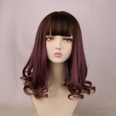 China Natural Suit Women Gradient Smoked Long Purple Gray Hair Fluffy Curly Wig Cosplay Premium Premium Synthetic Wigs for sale