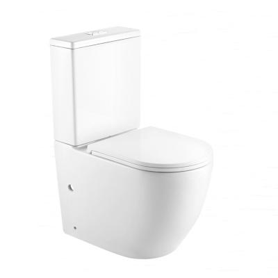 China Automatic Operation Water Saving Sanitary Ware Two Piece Toilet Washdown Wc Pan Ceramic Water Closet for sale