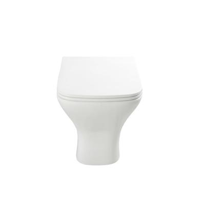 China Dual-Flush Cheap Price SaniClose Coupled Toilet for sale