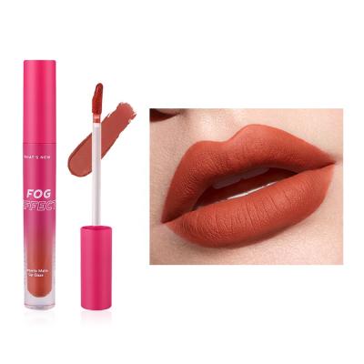 China New Arrival Waterproof Lip Color Matte Lip Gloss Private Label Long Lasting Fine Lines for sale