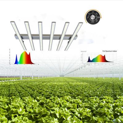 China Seed Starting Full Spectrum High Efficiency IP 66 Greenhouse LED Plant Growth Lamp for sale