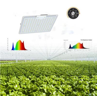 China Seed Starting Full Spectrum High Efficiency IP 66 Greenhouse LED Plant Growth Lamp for sale