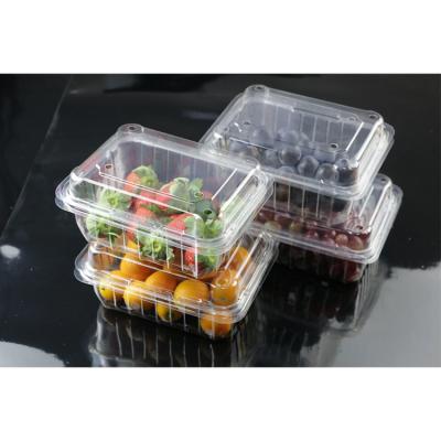 China Plastic Logo Packaging Disposable Plastic Disposable Custom Fruit And Vegetable Canning Box Cool-keep Box for sale